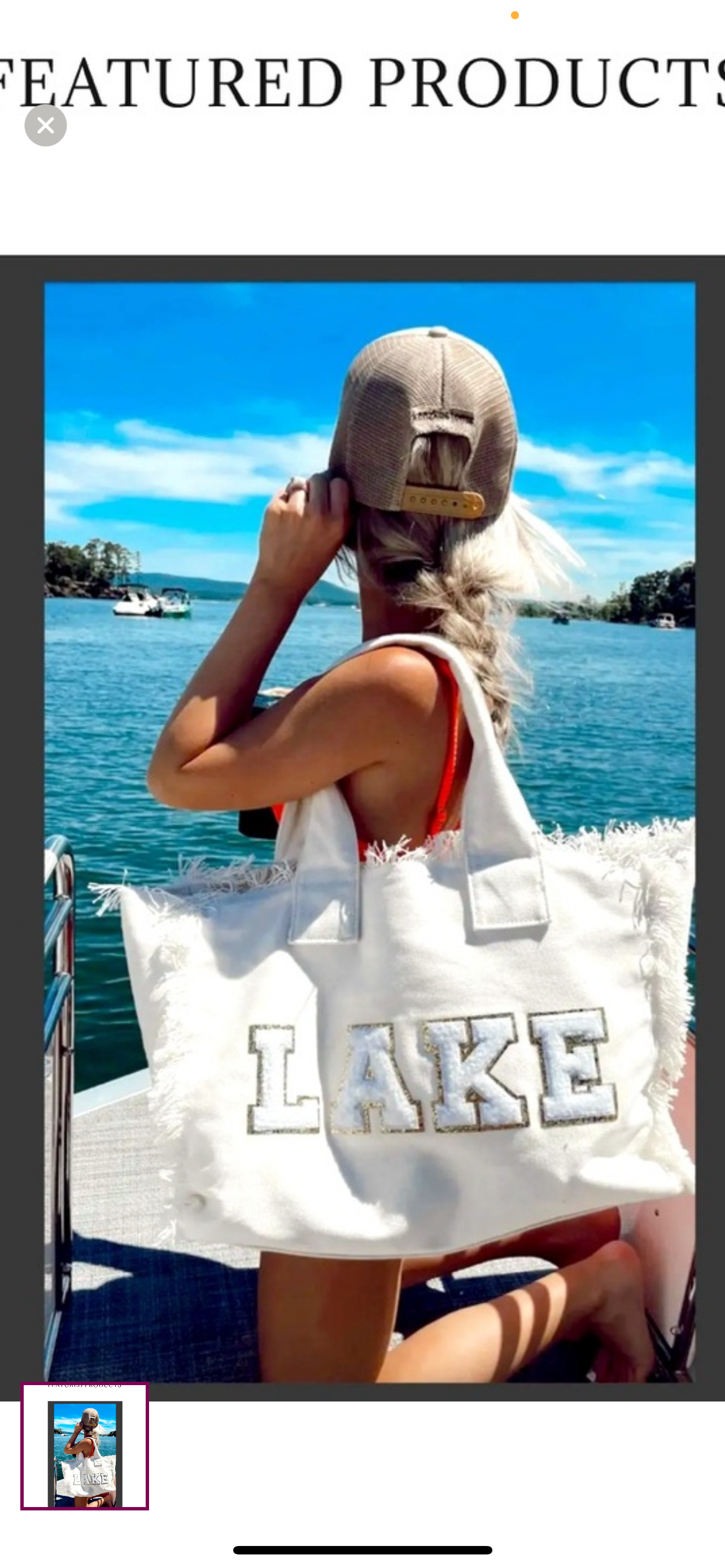 Everyday Lake Tote